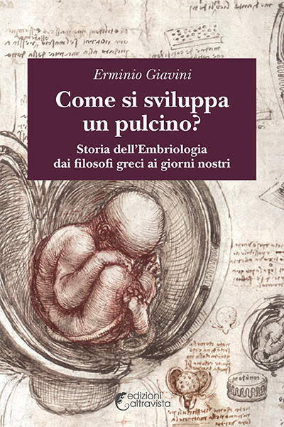 Come si sviluppa un pulcino? - eBook