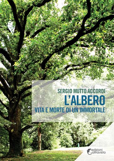 L'albero